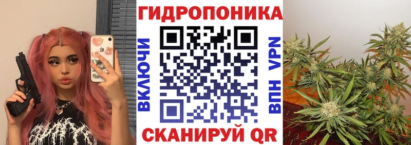 Купить закладку Альфа ПВП  NBOMe  АМФЕТАМИН  Канабис  ГАШ  МЕФ  Кокаин  Ирбит