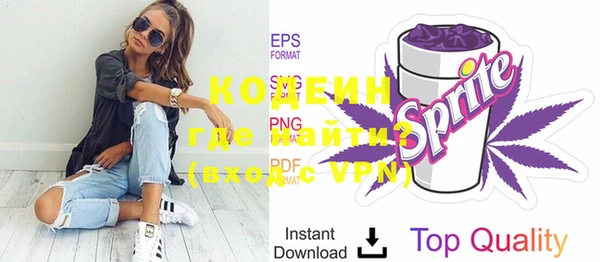 дмт Каменка