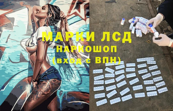 дмт Каменка
