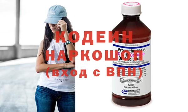 дмт Каменка
