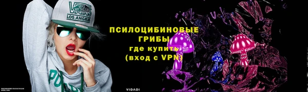 дмт Каменка