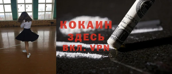 дмт Каменка