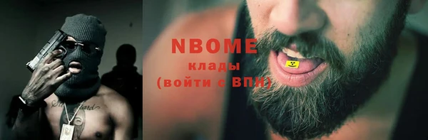 дмт Каменка
