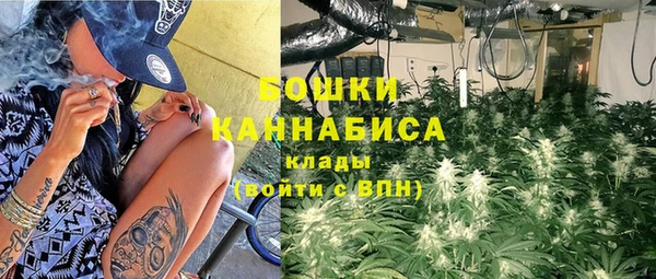 дмт Каменка