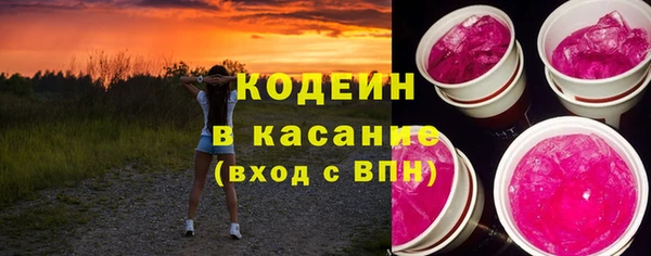 дмт Каменка