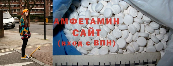 дмт Каменка