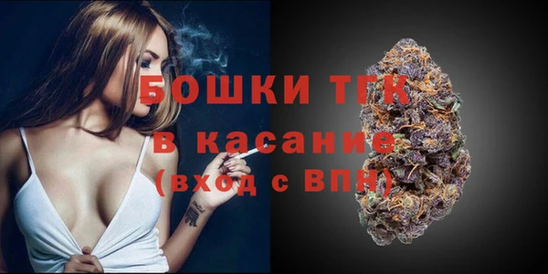 дмт Каменка