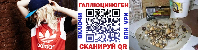 Псилоцибиновые грибы Psilocybe  Купить закладки  Ирбит 